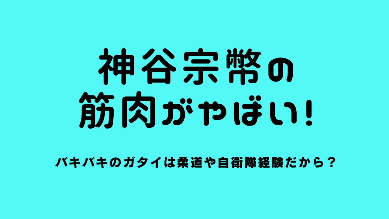 神谷宗幣の筋肉がやばい！バキバキのガタイは柔道や自衛隊経験だから？